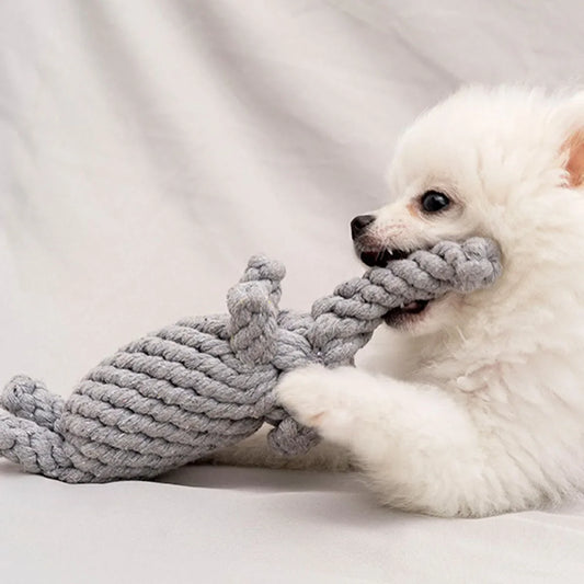 Durable Rope Knot Dog Toy – Hand-Woven Cotton Chew Toy for Small & Medium Dogs - BIG FRENCHIES