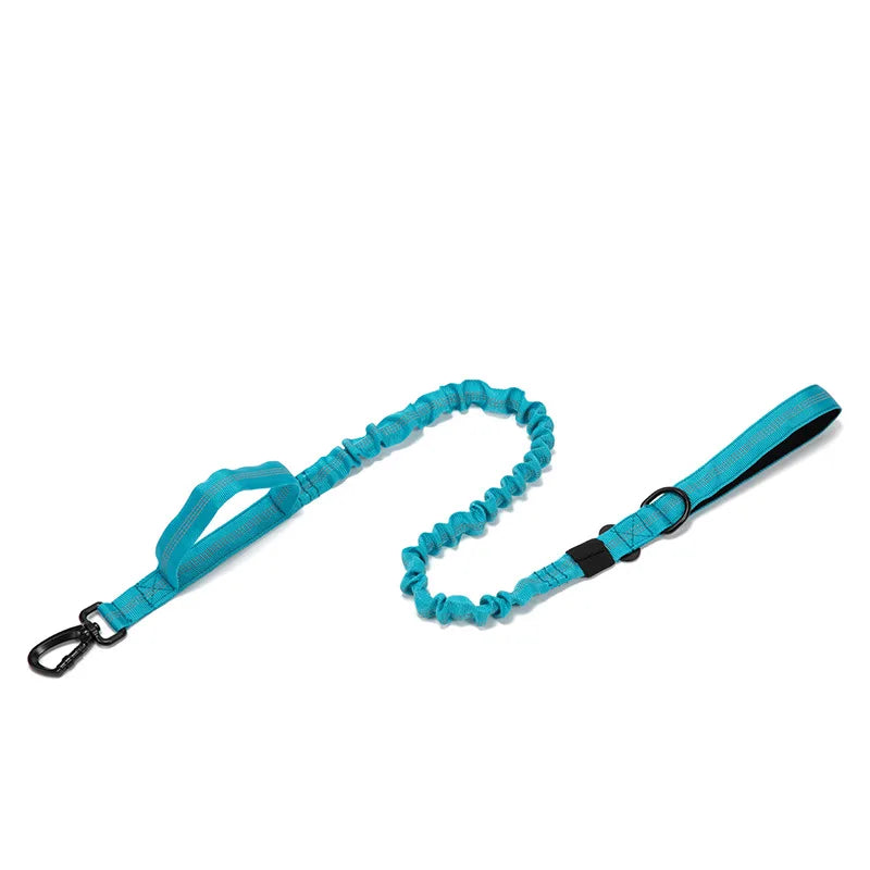 Durable Nylon Dog Collar with Reflective Leash Set - BIG FRENCHIES