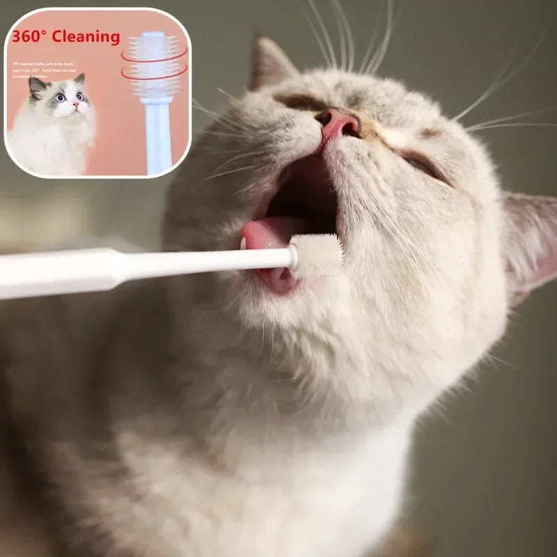 Complete Pet Toothbrush And Toothpaste Kit - BIG FRENCHIES