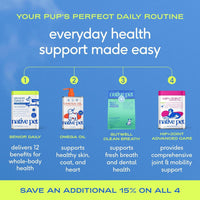 Senior Dog Multivitamin Powder 12-in-1 Joint Brain Digestion Immune 30 Scoops