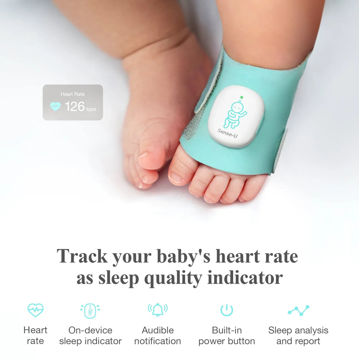 Smart Sock Shoe - BIG FRENCHIES