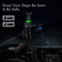 LED Pet Dog Collar for Night Safety | Bright USB Rechargeable - BIG FRENCHIES