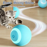 Smart Interactive Dog Toy Ball - BIG FRENCHIES
