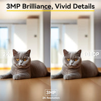 BoyKeep Smart Camera 2K WiFi Indoor Security - BIG FRENCHIES