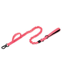 Durable Nylon Dog Collar with Reflective Leash Set - BIG FRENCHIES