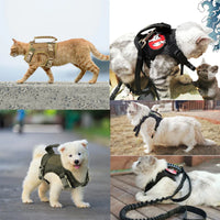 Tactical Puppy Harness Leash Set – Adjustable Military-Style Vest for Small Dogs & Cats, Ideal for Training & Walking - BIG FRENCHIES