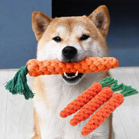 Carrot Rope Dog Chew Toy – Durable Cotton Molar Toy for Puppies & Dogs - BIG FRENCHIES
