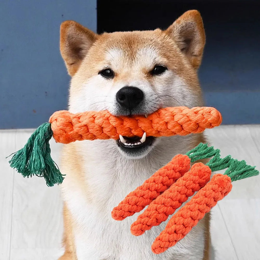 Carrot Rope Dog Chew Toy – Durable Cotton Molar Toy for Puppies & Dogs - BIG FRENCHIES