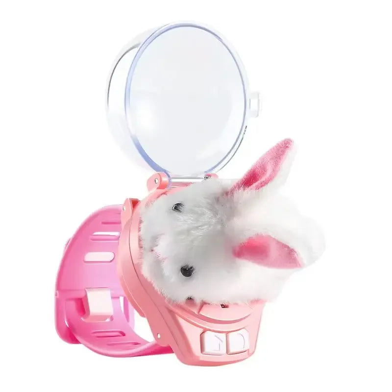 Capybara Rabbit RC Car Watch Toy – 2.4G Remote Control Racing Car - BIG FRENCHIES