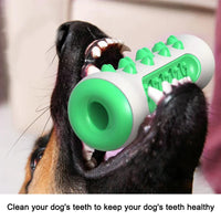 Chew-Resistant Rubber Dog Toy for Dental Health - BIG FRENCHIES