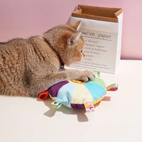 Rainbow Plush Flying Saucer Dog Toy – Interactive Chew & Training Disc - BIG FRENCHIES