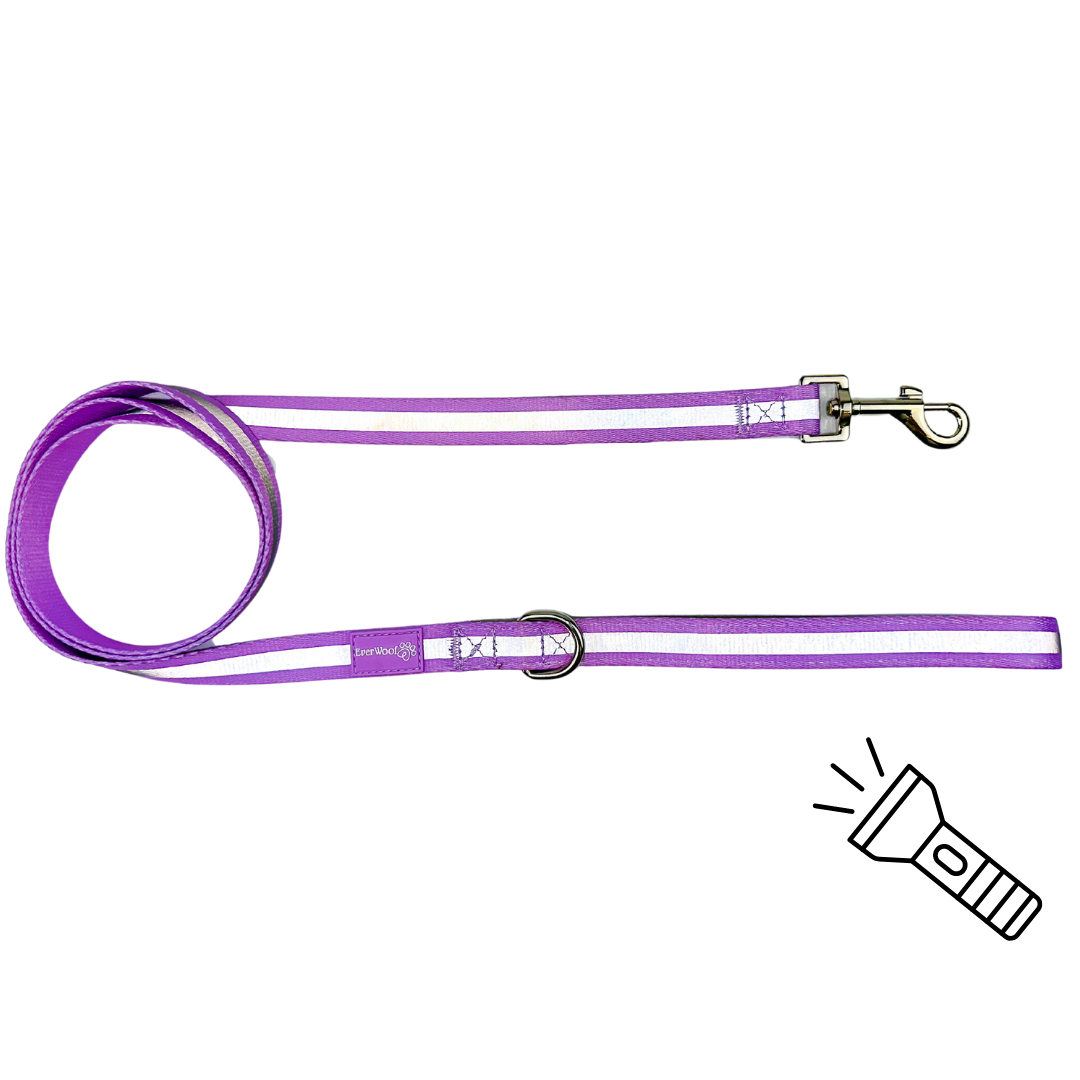 Shine Bright - Amethyst Leash-Leash-BIG FRENCHIES-EverWoof
