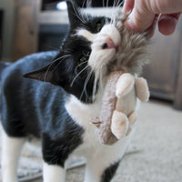 HuggleKats® Wee Fellar Squirrelie Cat Toy - BIG FRENCHIES