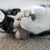 HuggleKats® Wee Fellar Squirrelie Cat Toy - BIG FRENCHIES