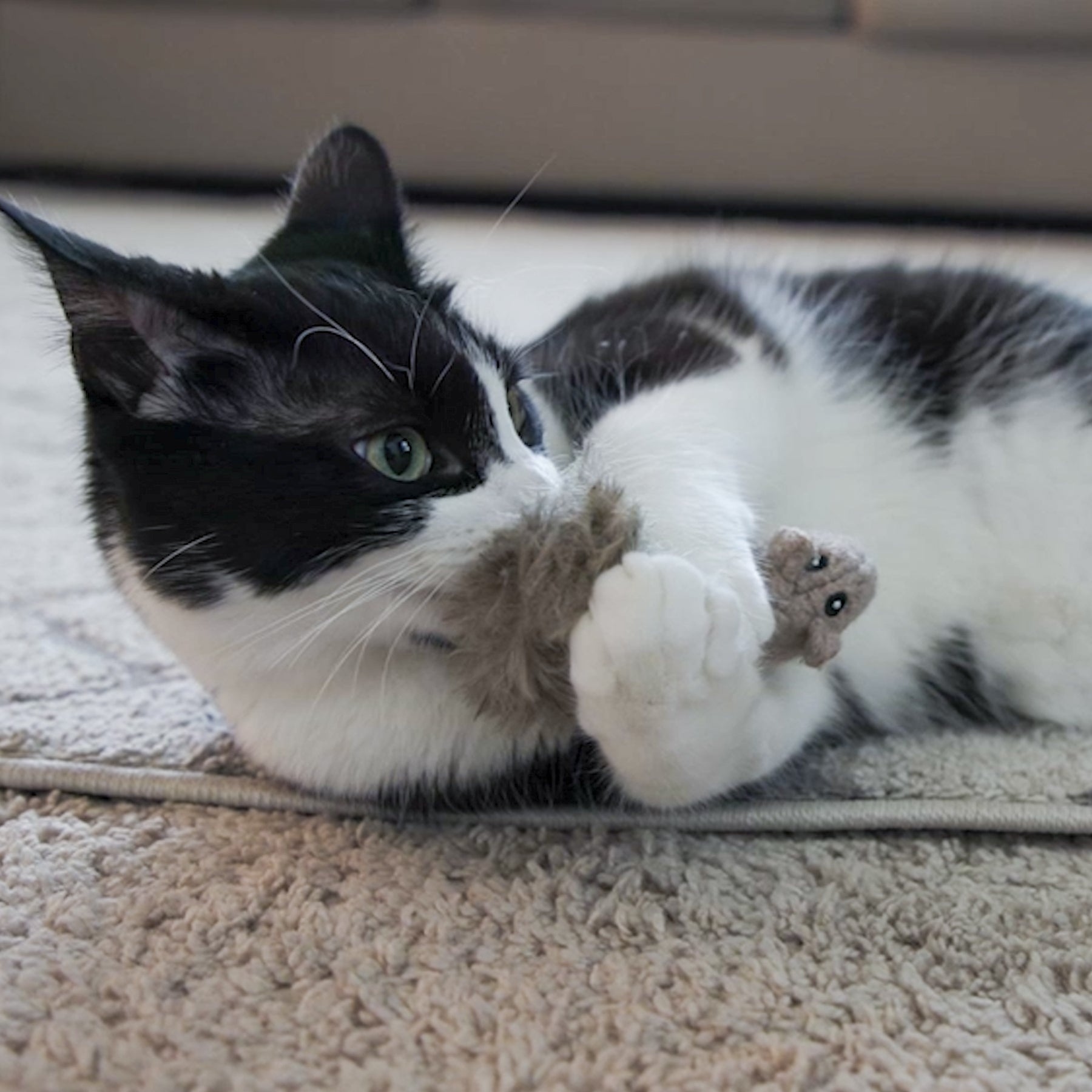 HuggleKats® Wee Fellar Squirrelie Cat Toy - BIG FRENCHIES