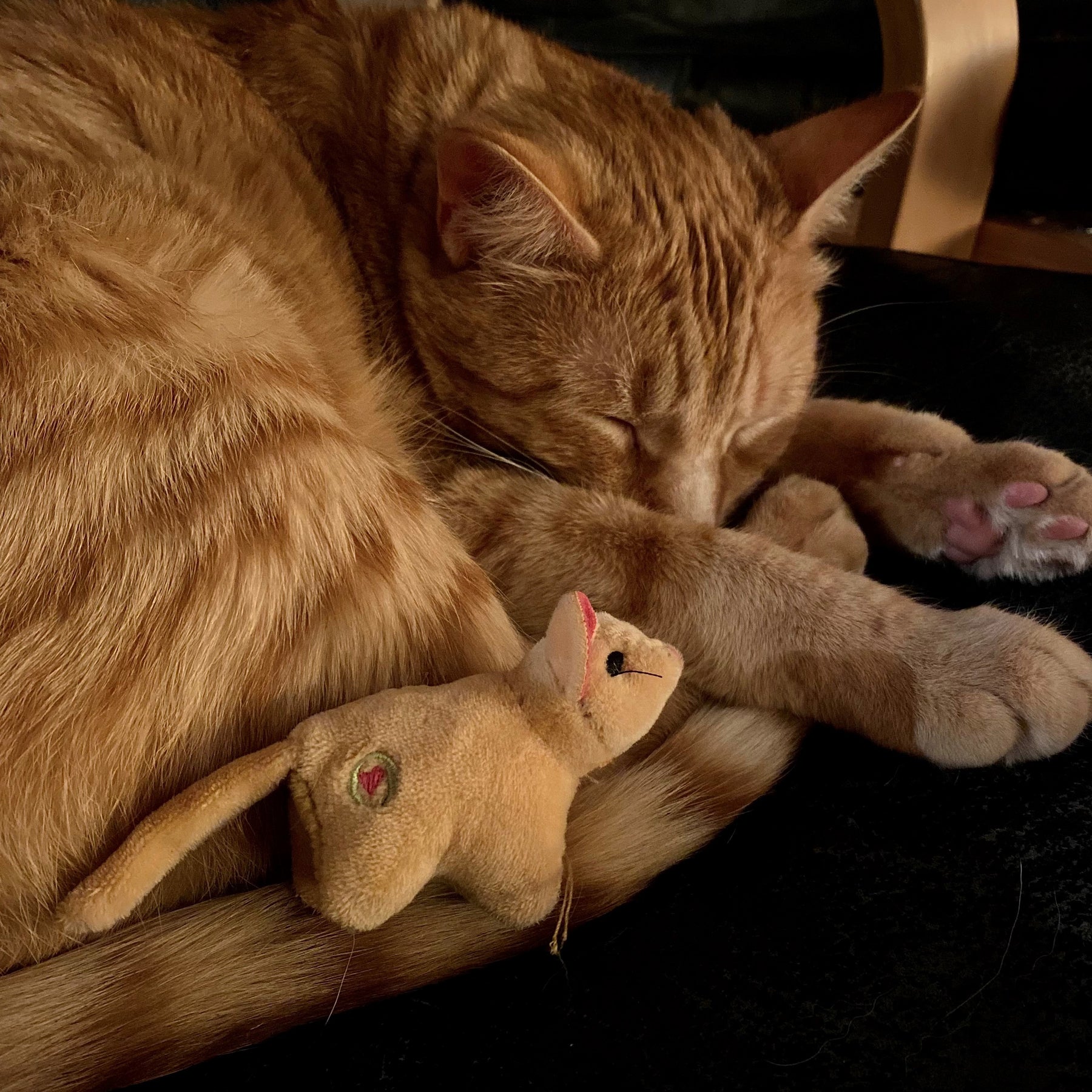 HuggleKats® Wee Squooshie™ Mice Cat Toys, 2 Pack - BIG FRENCHIES