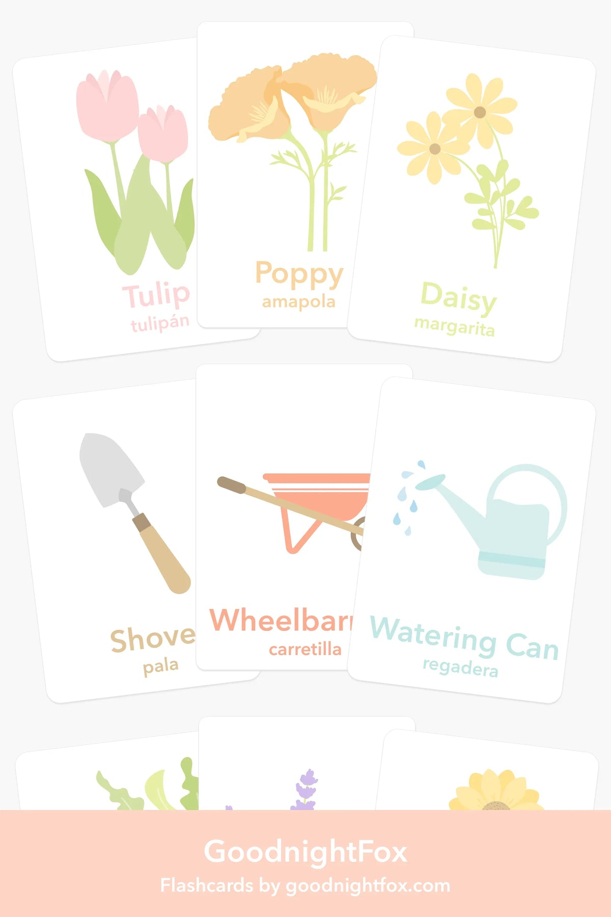 Flower Garden Flashcards - BIG FRENCHIES