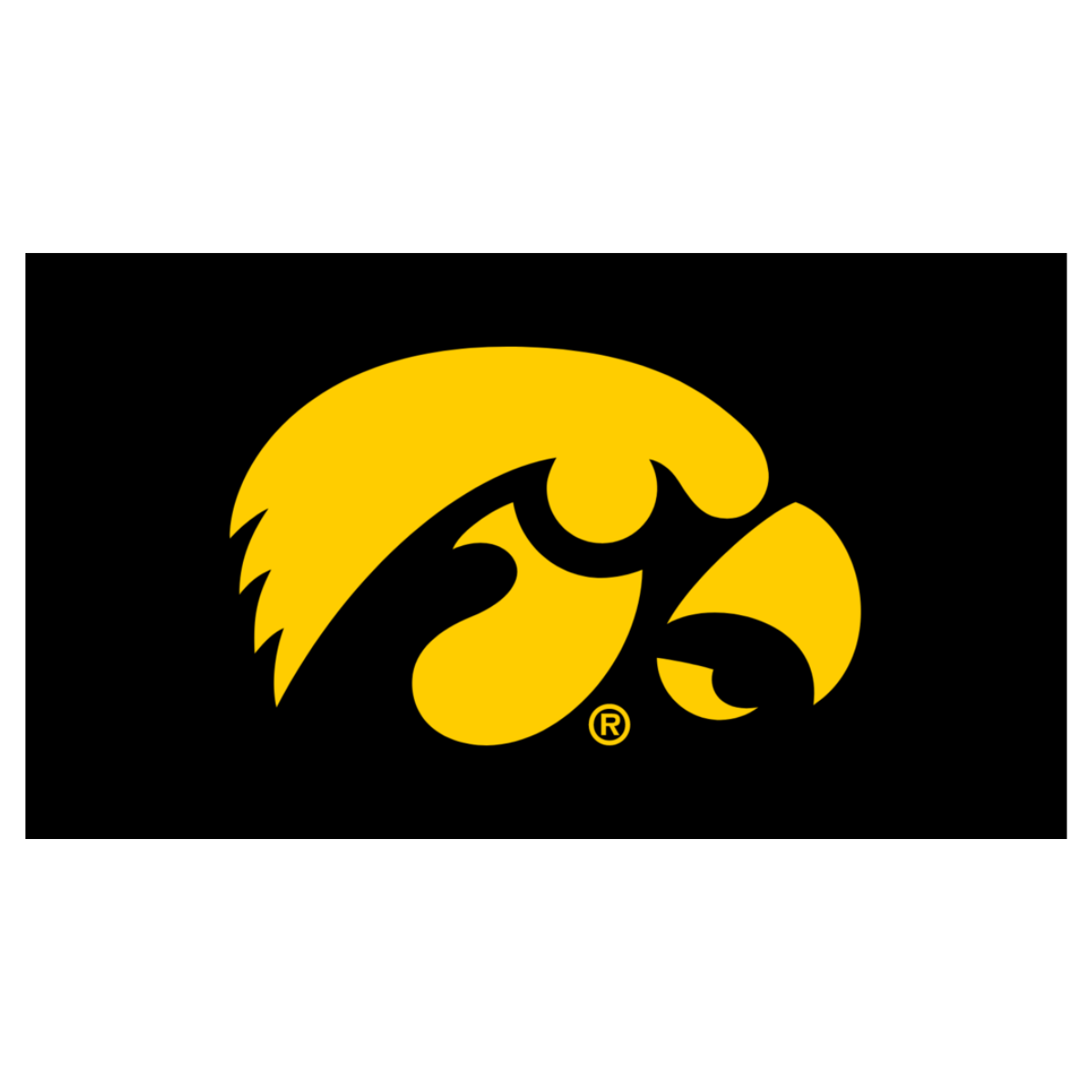 NCAA University of Iowa - Herky the Hawk Knottie® Plush Dog Toy - BIG FRENCHIES