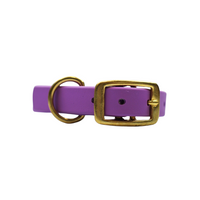 Taro Tango Biothane Collar