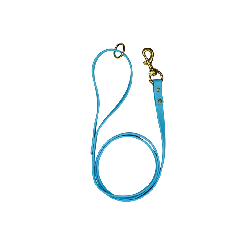 Blueberry Bliss Biothane Leash-Pet Collars & Leashes-BIG FRENCHIES-Le Gray Haus