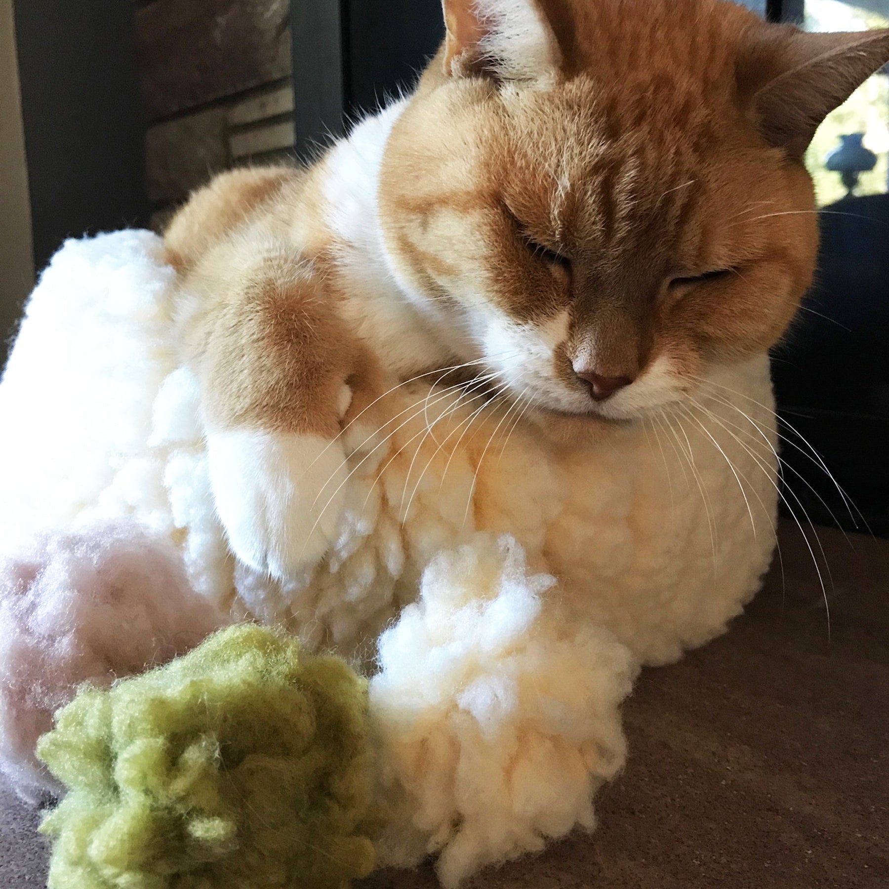 HuggleKats® FlufferFleece™ Ballies Plush Cat Toys, 3 Pack - BIG FRENCHIES