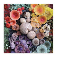 Shrooms in Blooms 500 Piece Jigsaw Puzzle Galison