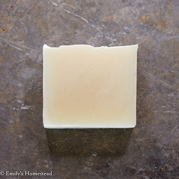 Silk & Protein Shampoo