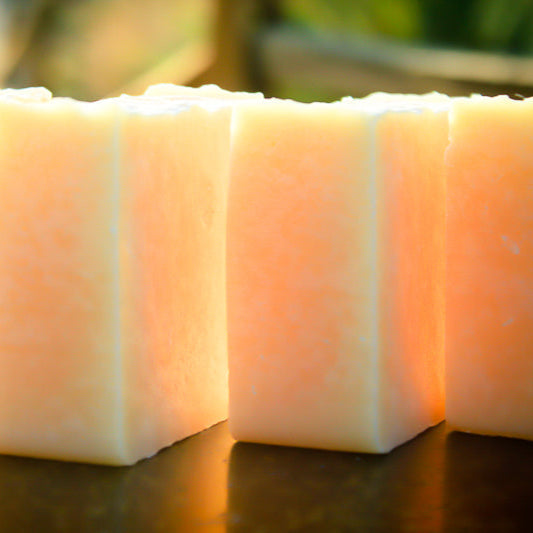 Silk & Protein Shampoo