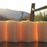 Silk & Protein Shampoo