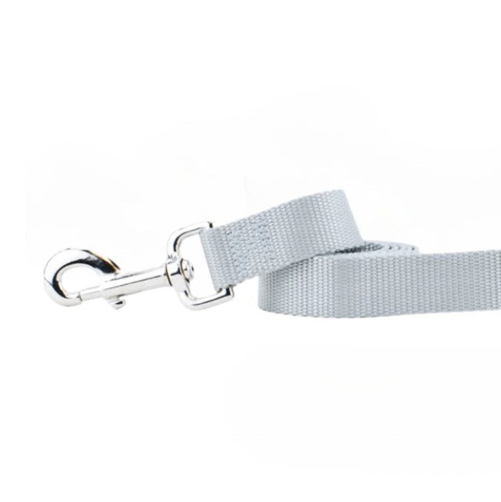 Silver Nylon Dog Leash-Pet Collars & Leashes-BIG FRENCHIES-2 Hounds Design