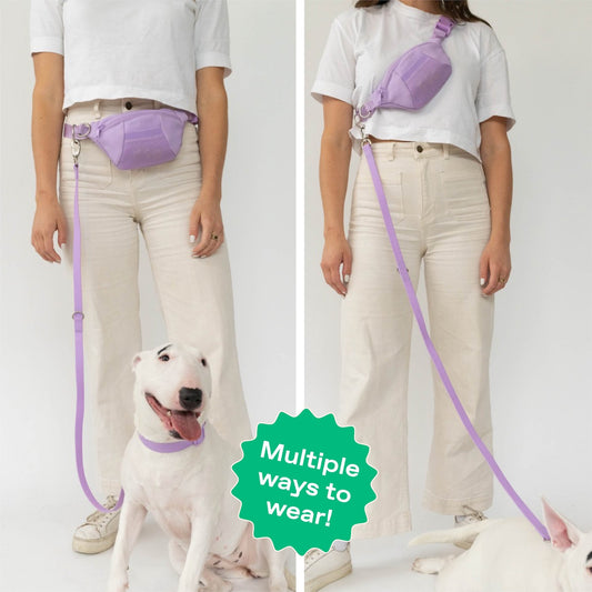 Original Hands-Free Neoprene Dog Walking Bag with 3.25ft Leash - BIG FRENCHIES