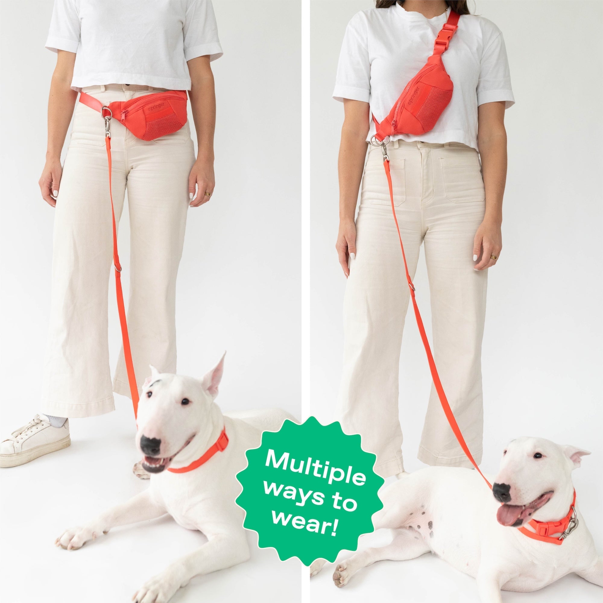 Original Hands-Free Neoprene Dog Walking Bag with 3.25ft Leash - BIG FRENCHIES
