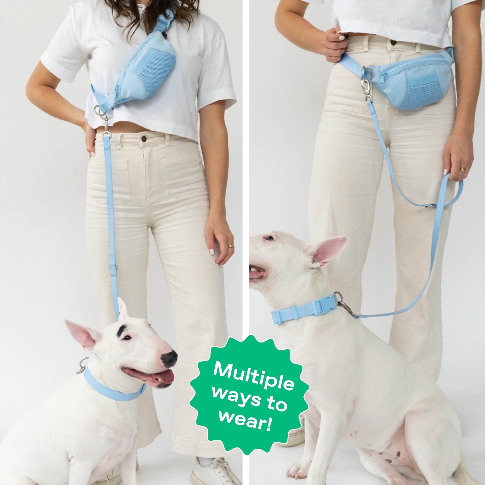 Original Hands-Free Neoprene Dog Walking Bag with 3.25ft Leash - BIG FRENCHIES