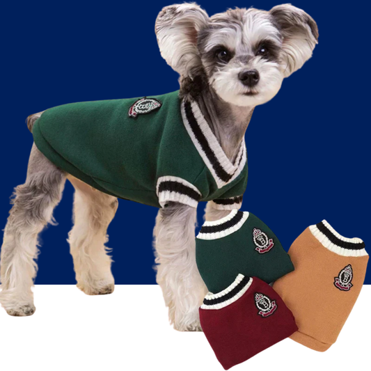Small Dog Winter Sweater - V-Neck College Style Knitwear - BIG FRENCHIES