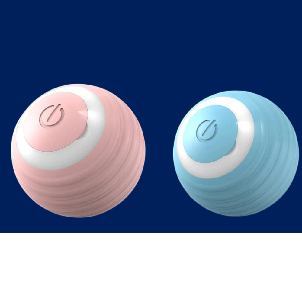 Smart Cat Toy Ball: Auto-Rolling for Active Play - BIG FRENCHIES
