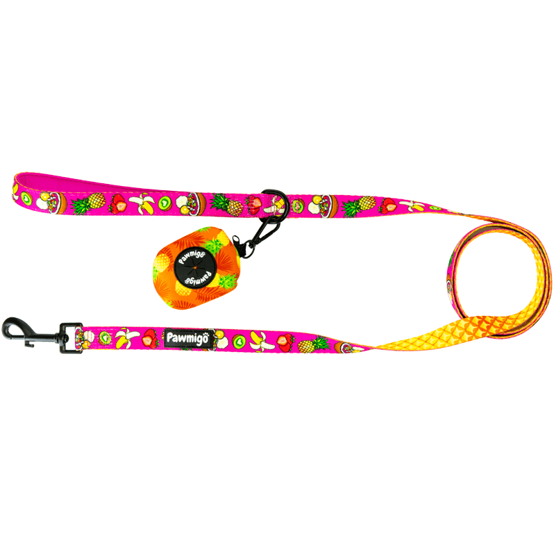 Snack Shack Leash Kit-Leash Kit-BIG FRENCHIES-Pawmigo