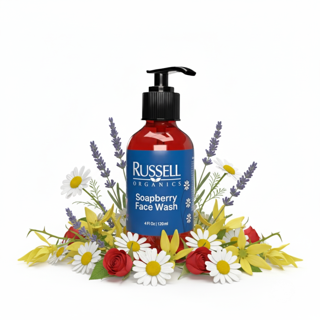 Soapberry Face Wash - BIG FRENCHIES