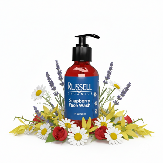 Soapberry Face Wash - BIG FRENCHIES