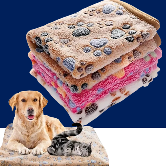 Soft Fluffy Pet Blanket – Cute Cartoon Pattern - BIG FRENCHIES