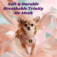Rapid Fastener Step In Dog Harnesses - 30 Colors & Patterns / Baby Pink - BIG FRENCHIES