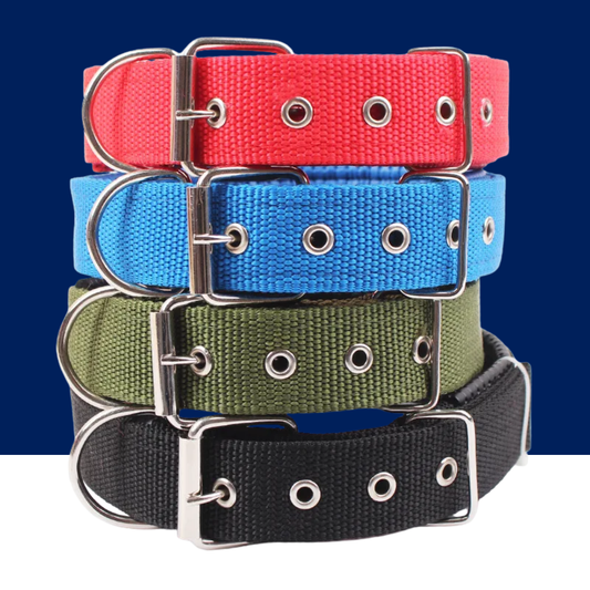 Solid Nylon Dog Collar – Strong & Durable for All Dog Sizes - BIG FRENCHIES