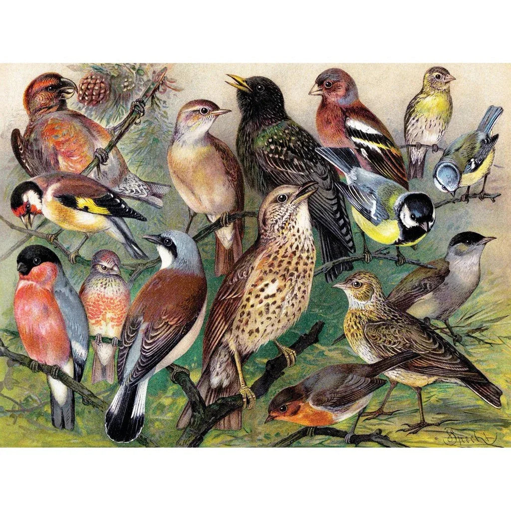 Songbirds 1000 Piece Jigsaw Puzzle NYPC - BIG FRENCHIES