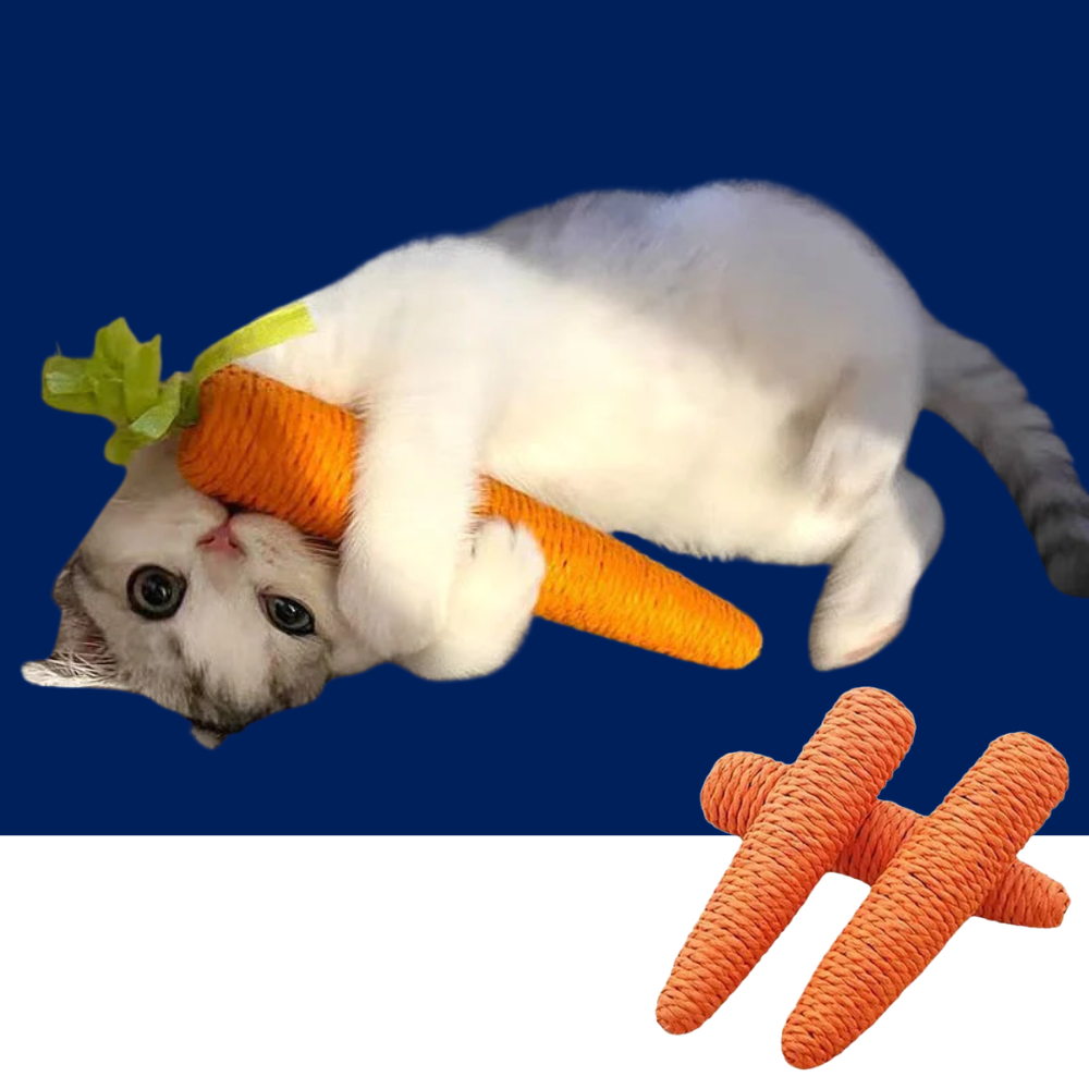 Sound Carrot Cat Toy | Teething & Anti-Bite Cuddle Stick for Cats - BIG FRENCHIES