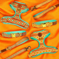 Southwest Spirit Collar