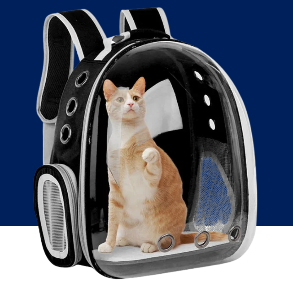 Space Capsule Pet Backpack – Ventilated Travel Carrier - BIG FRENCHIES