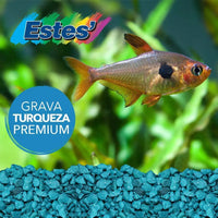 Spectrastone Special Turquoise Gravel for Freshwater Aquarium 5lbs.