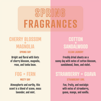 Smells Like Aaron Taylor-Johnson | Soy Wax Scented Candle