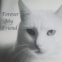 Stainless Steel Pet Memorial Urn for Cats & Small Dogs with Secure Lid Keepsake