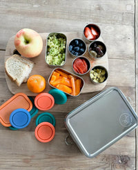 Stainless Steel Snack Rectangle Container Set (Two) for Veggies, Fruit, Chips, Dips and more - BIG FRENCHIES