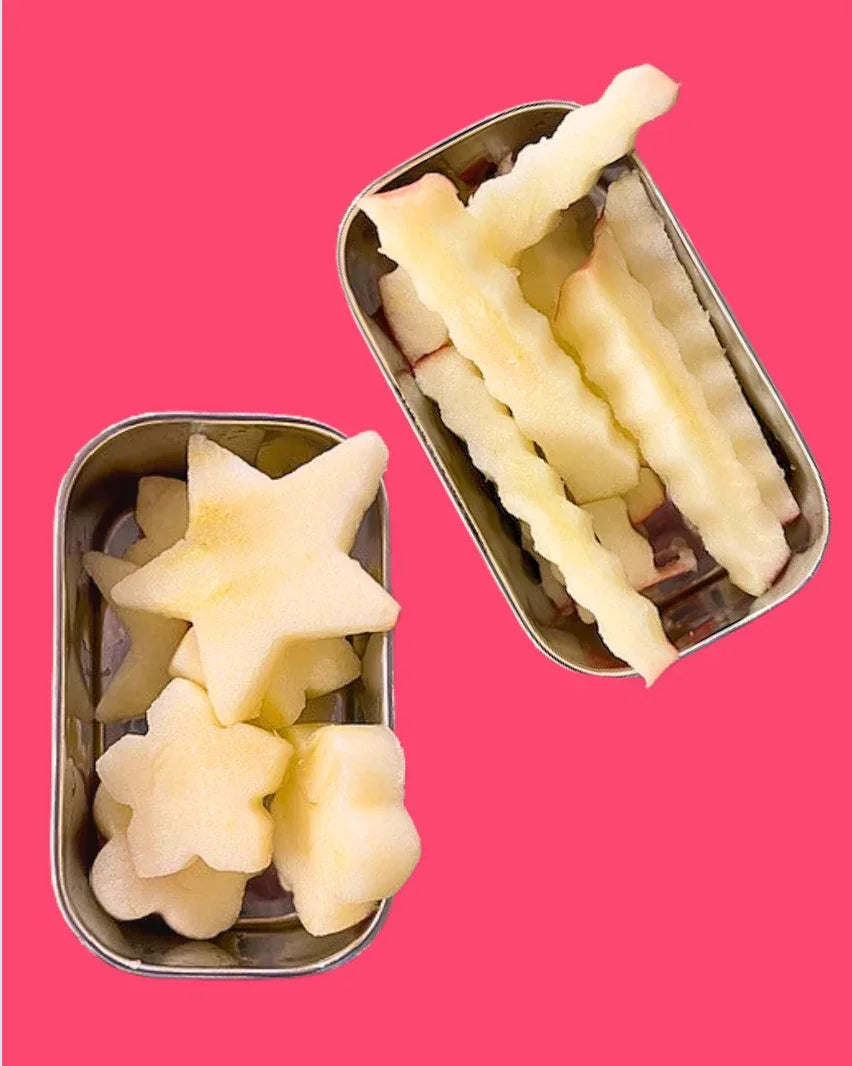Stainless Steel Snack Rectangle Container Set (Two) for Veggies, Fruit, Chips, Dips and more - BIG FRENCHIES